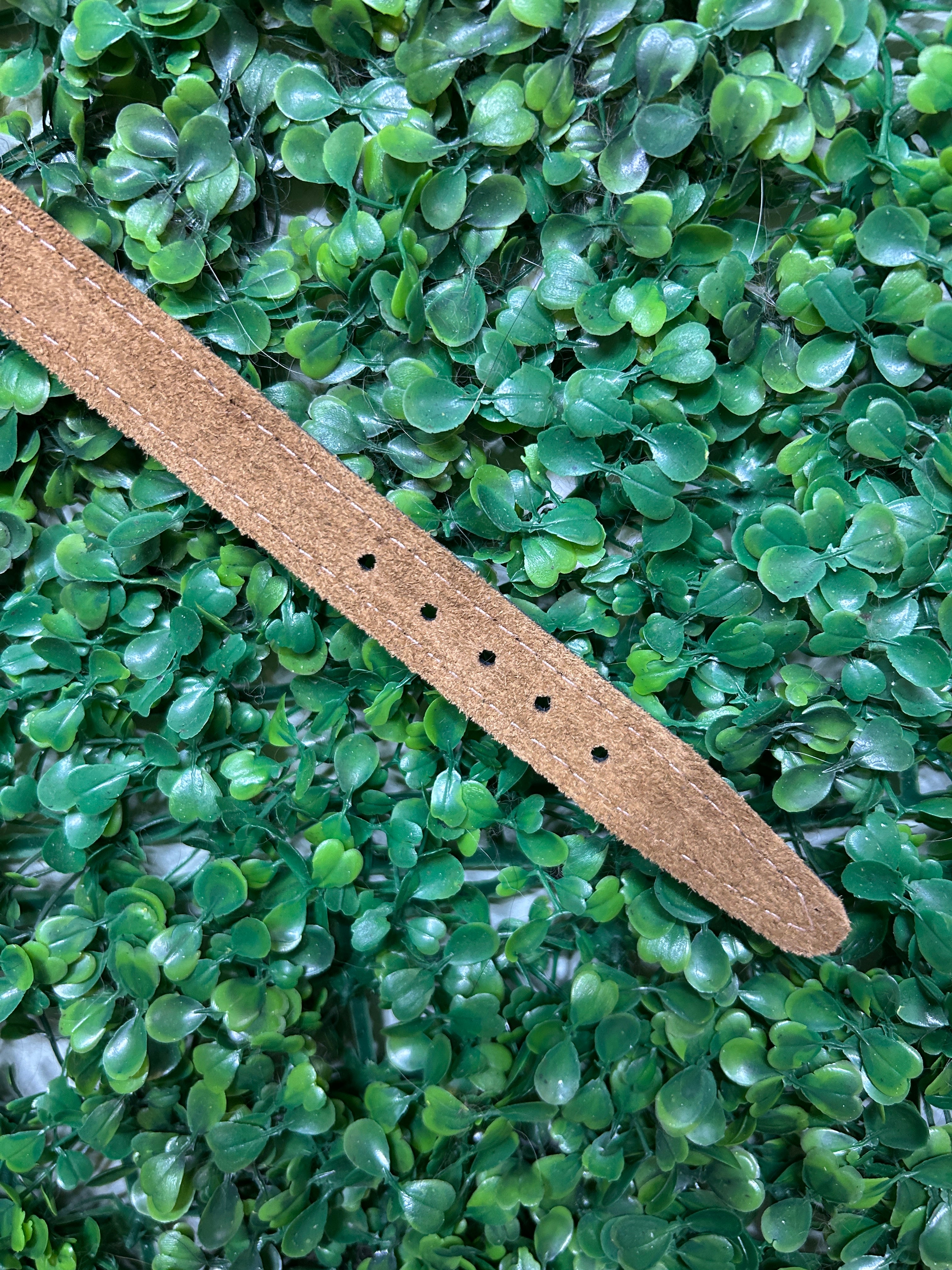 Leather Dog Collar