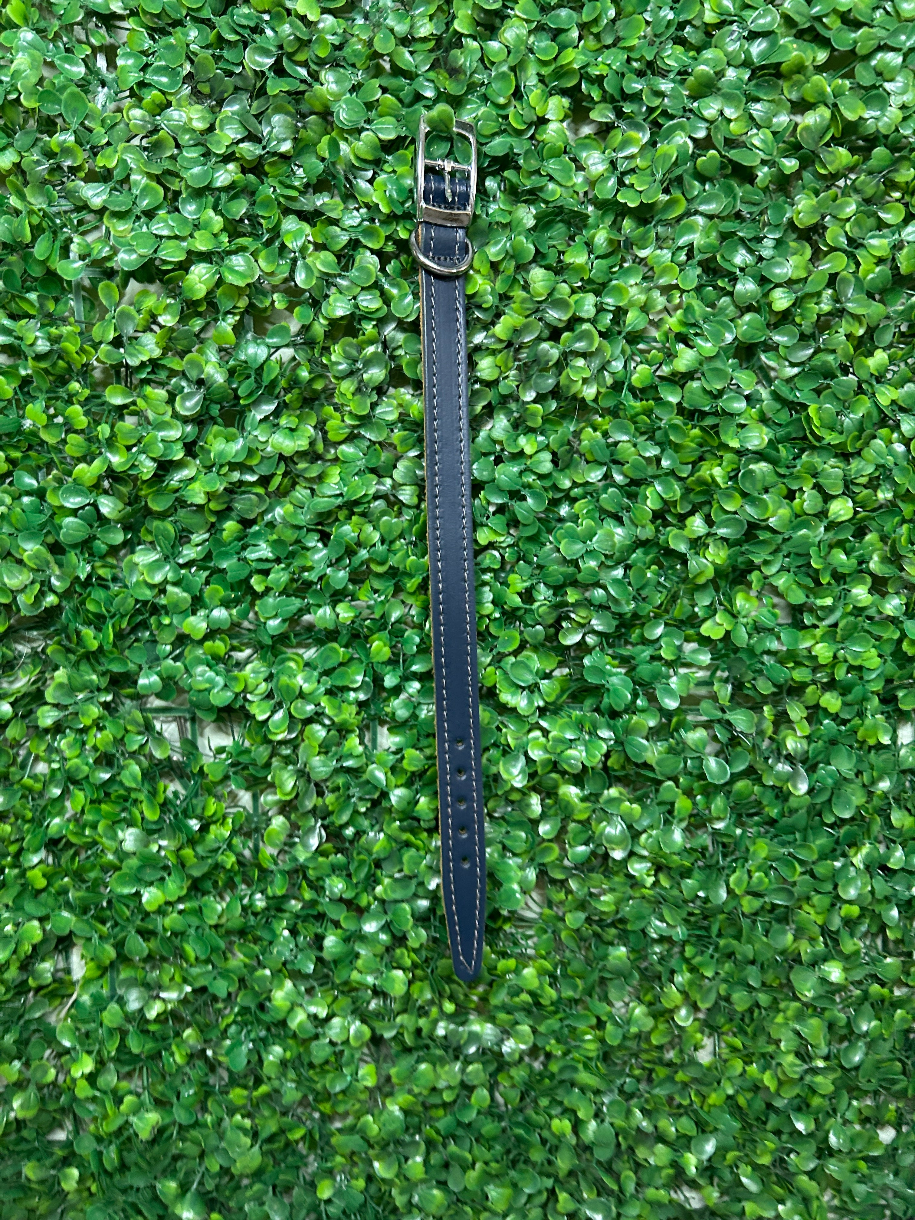 Leather Dog Collar