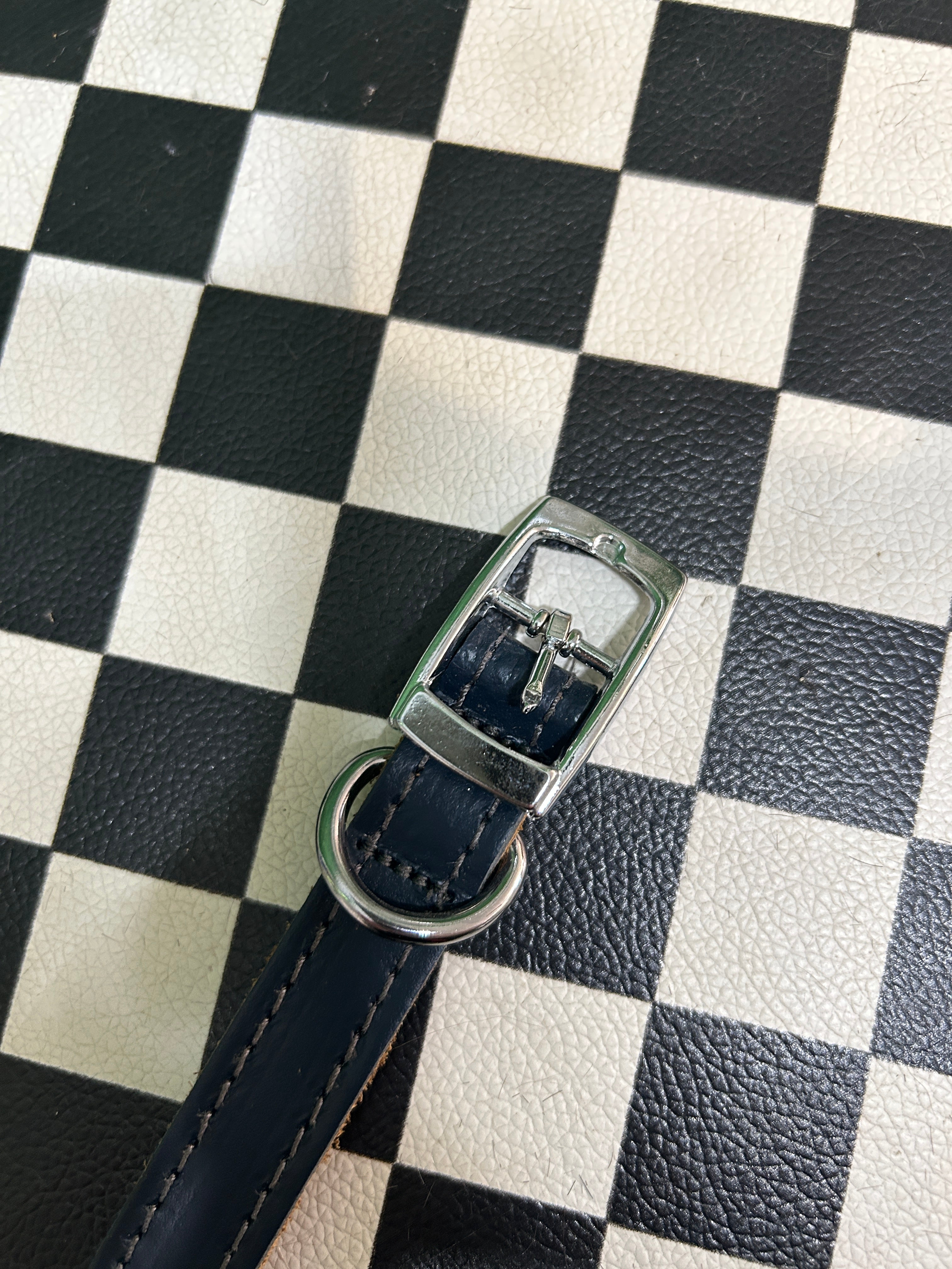 Leather Dog Collar