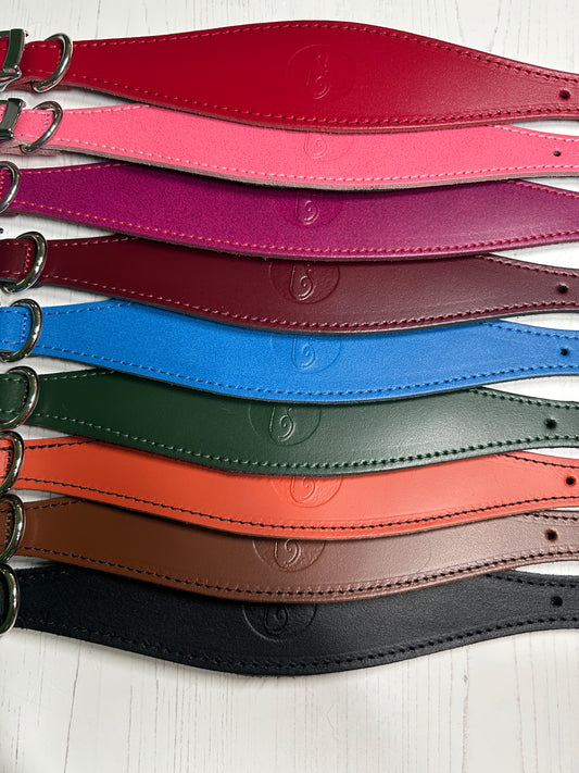Padded Leather Fishtail Hound Collar