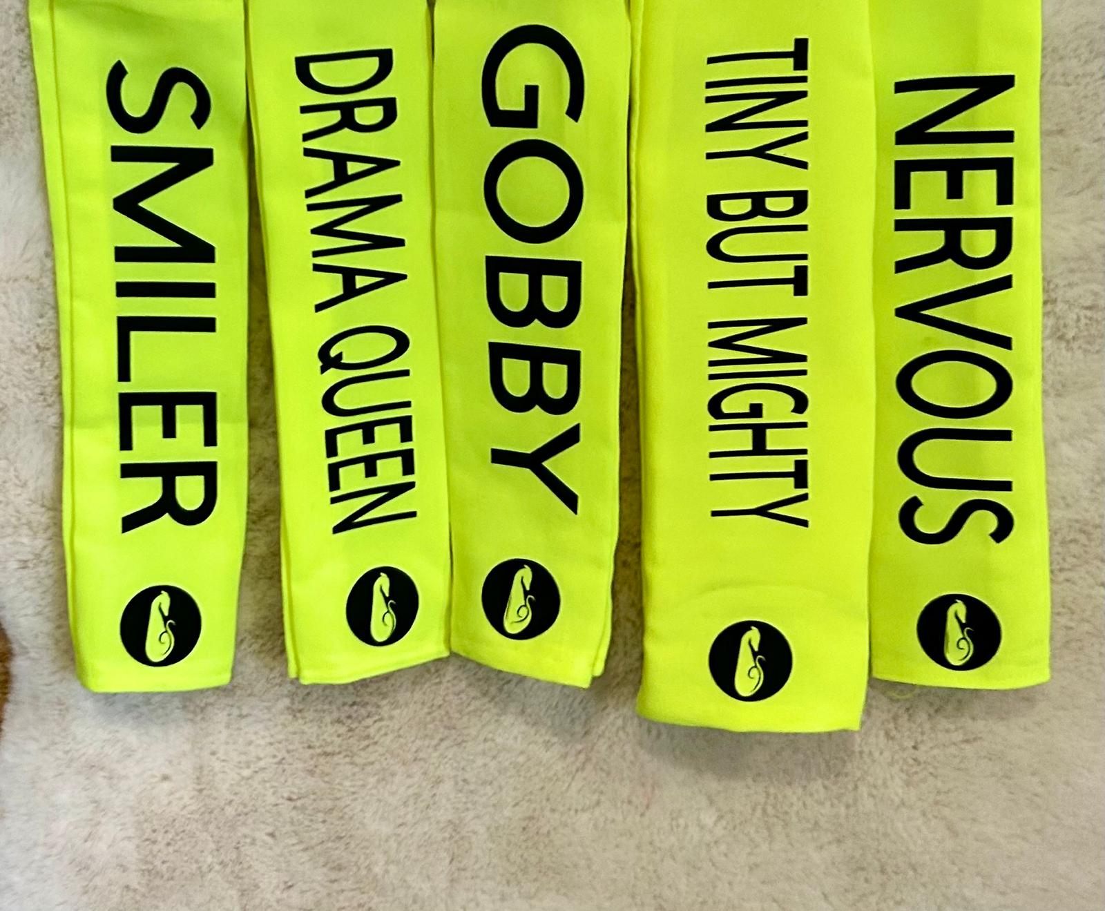 CUSTOM TEXT Leash Sleeve