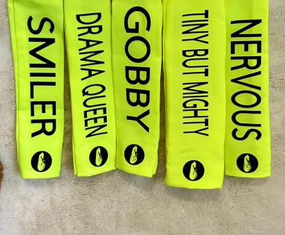 CUSTOM TEXT Leash Sleeve