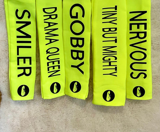 CUSTOM TEXT Leash Sleeve