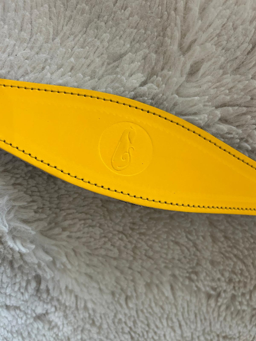 Leather Clip Lead