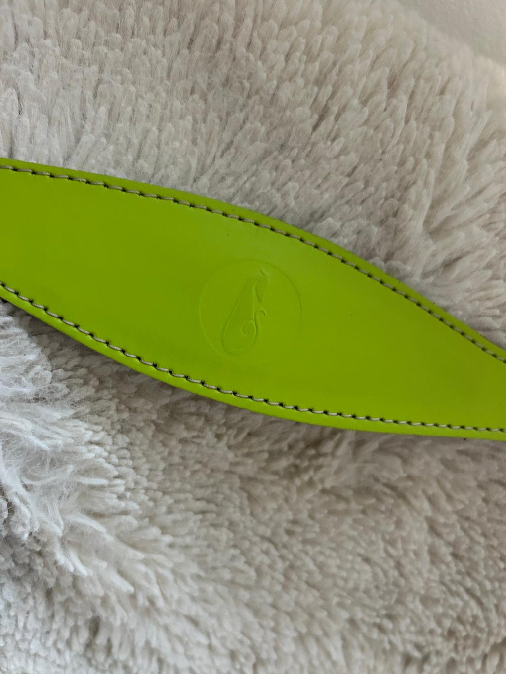 Leather Clip Lead