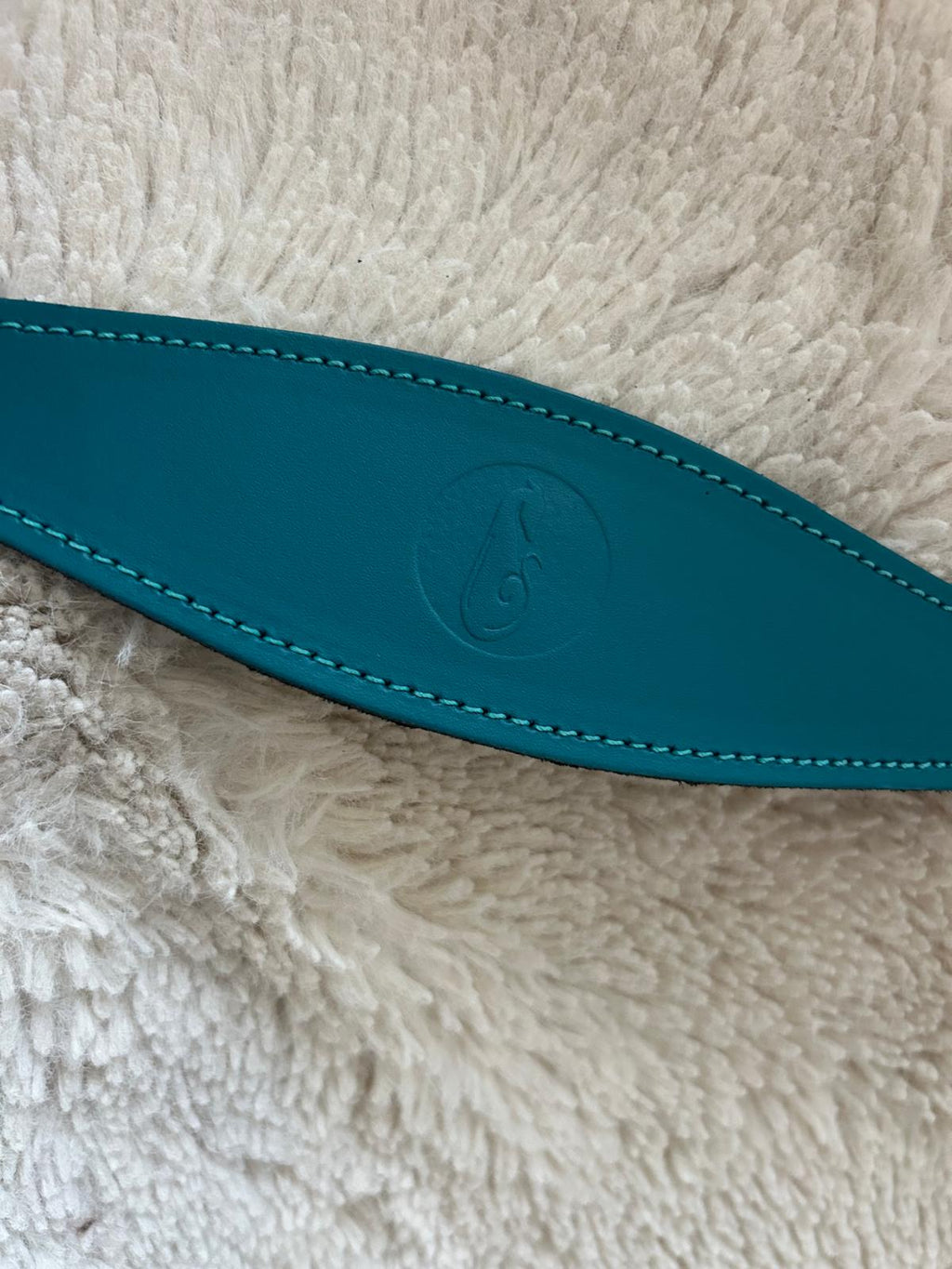 Leather Clip Lead