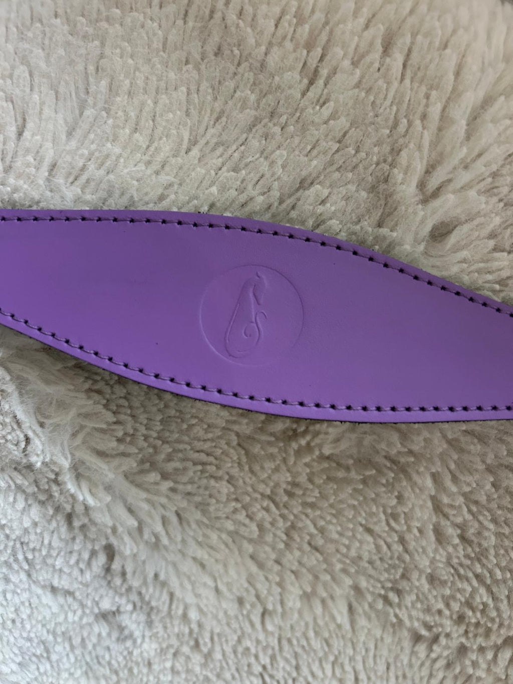 Leather Clip Lead