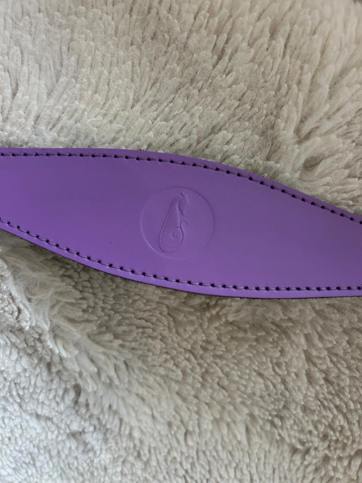 Padded Leather Fishtail Hound Collar