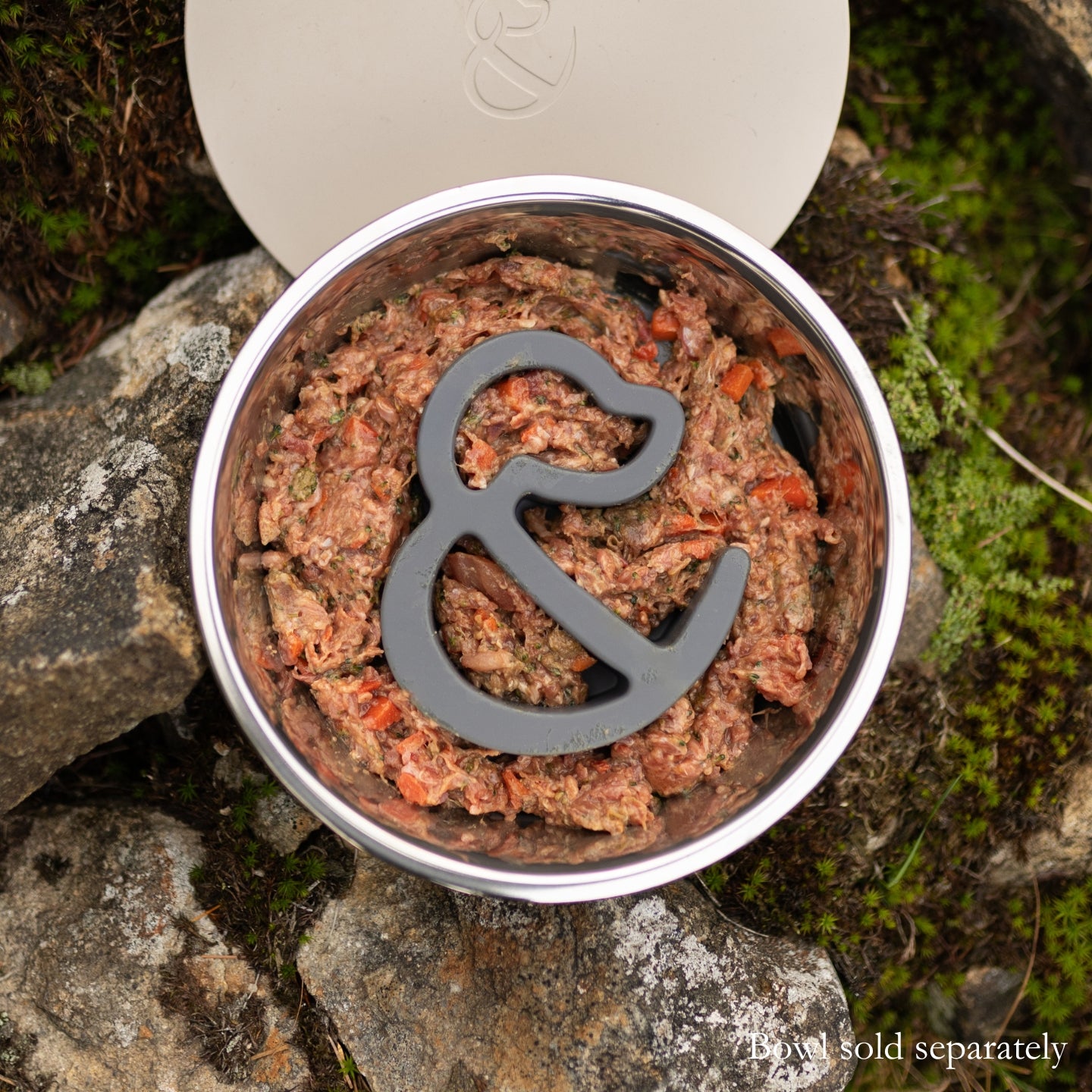 Lid-It Slow Feeder Insert