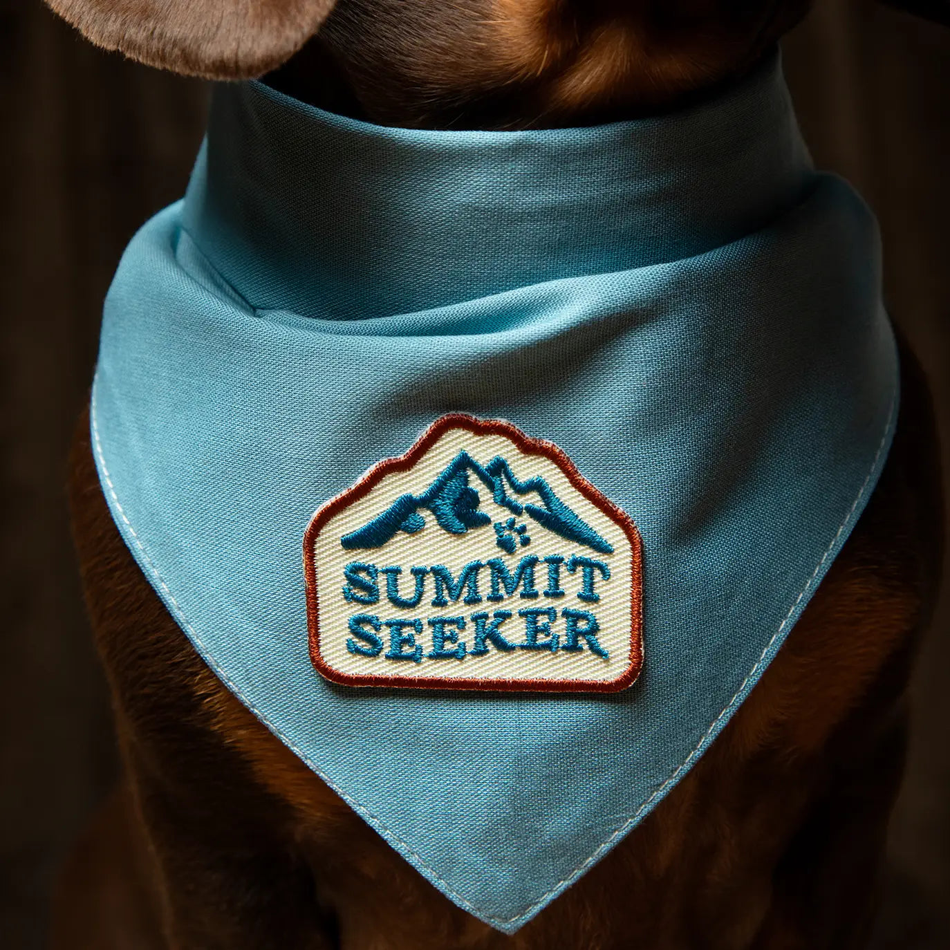 Summit Seeker Iron On Patch