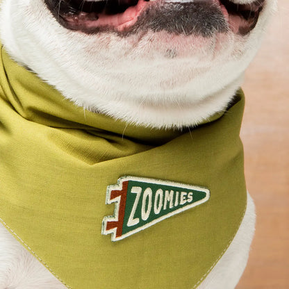 Zoomies Iron On Patch