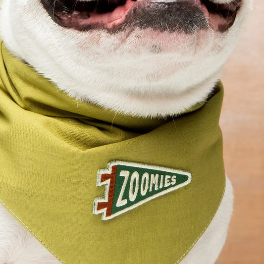 Zoomies Iron On Patch