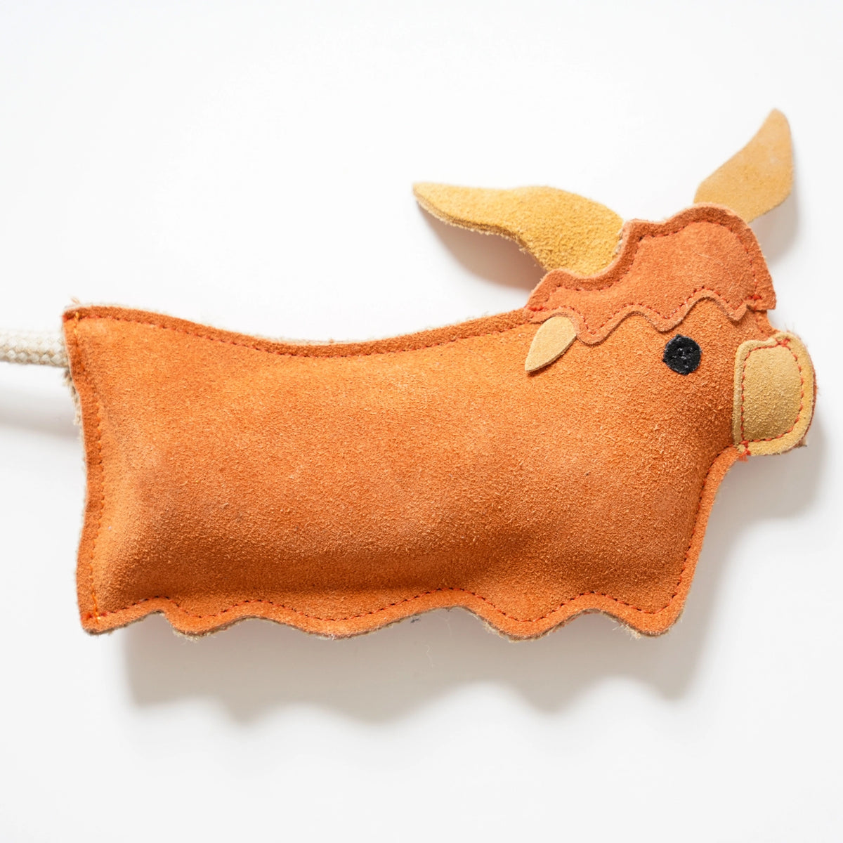 Hamish the Highland Cow