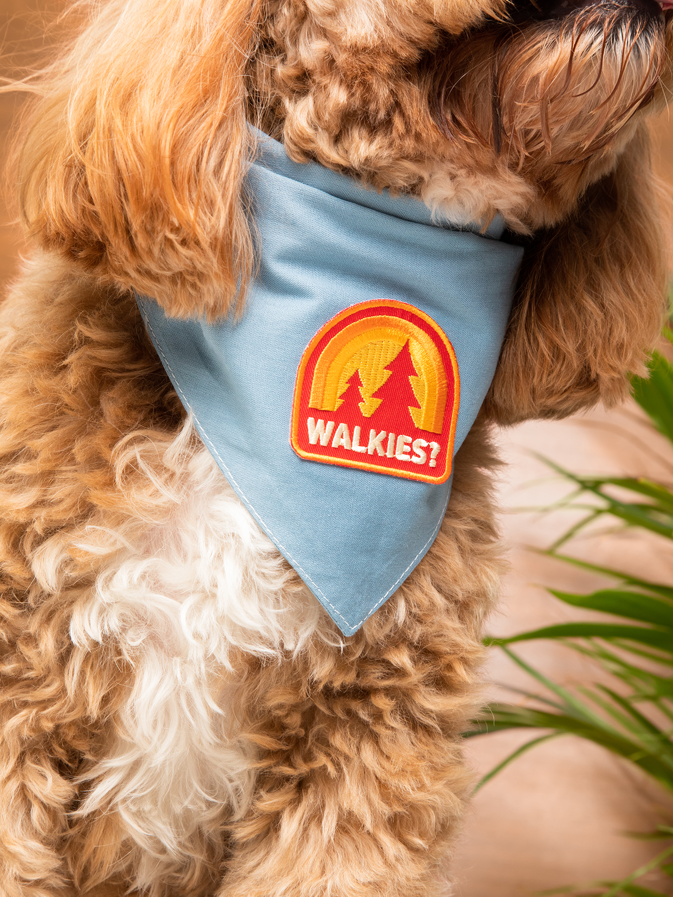 Walkies iron-on patch for dogs
