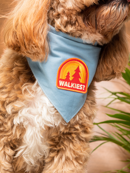 Walkies iron-on patch for dogs