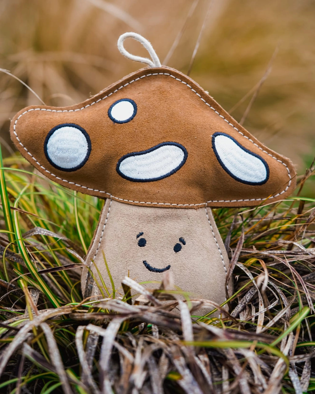 Chestnut the Mushroom | Eco-Friendly Dog Toy