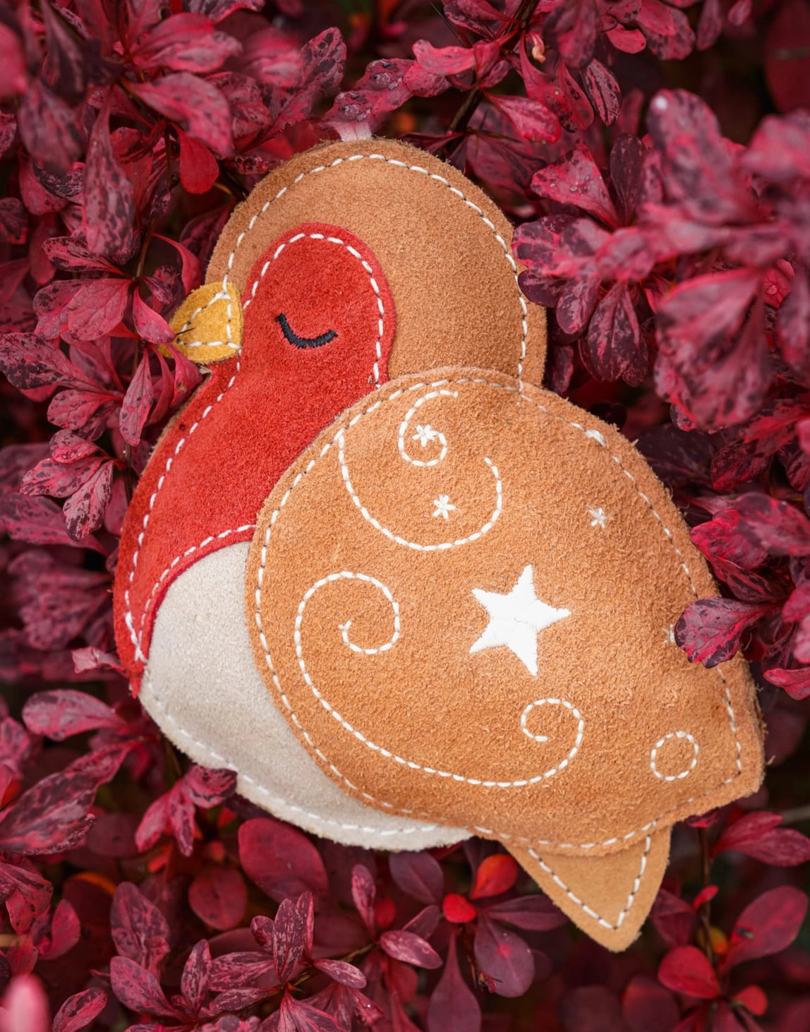 Cinnamon the Robin
