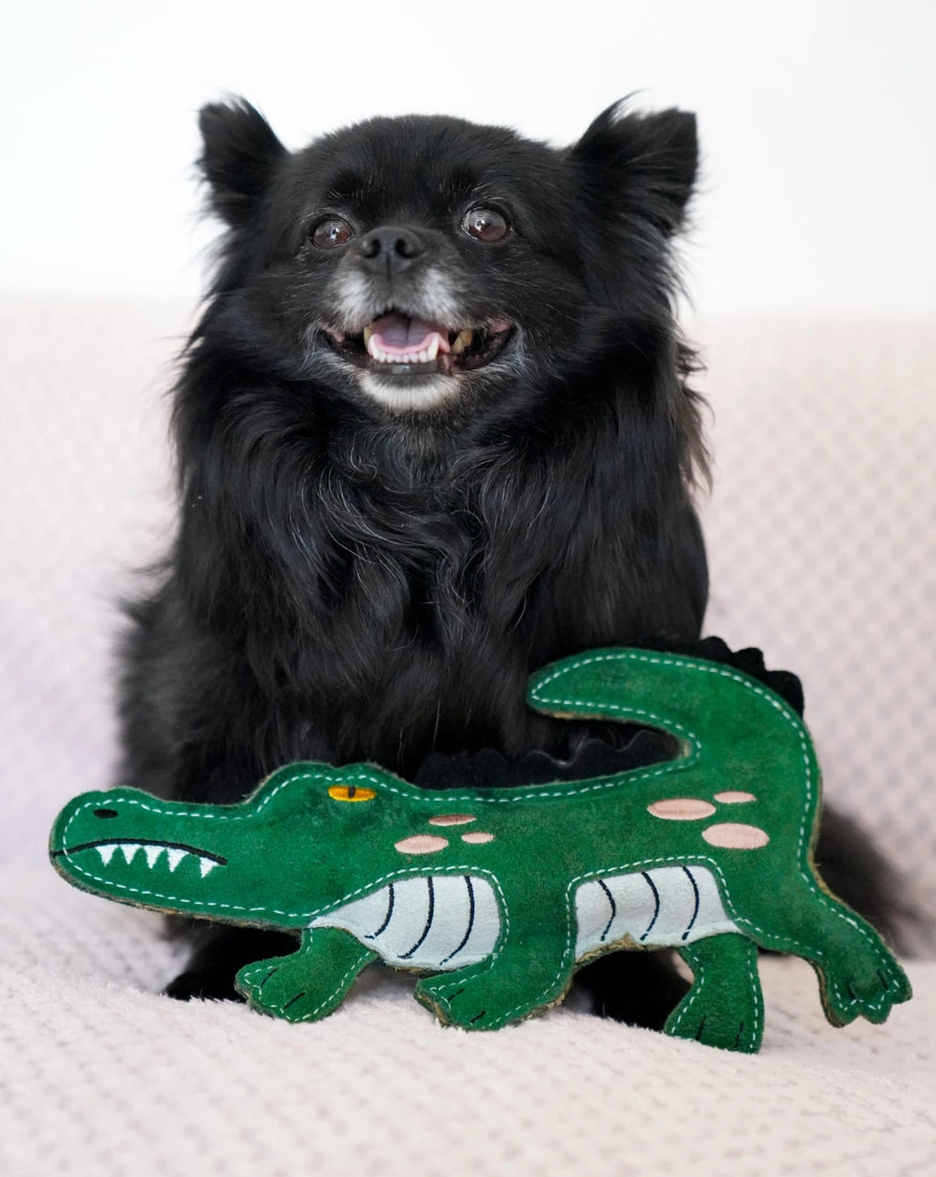 Clive the Crocodile | Eco-Friendly Dog Toy